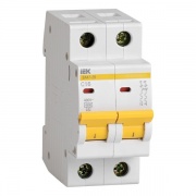 Автоматический выключатель ВА47-29 2Р  2А 4,5кА характеристика С ИЭК (автомат)
